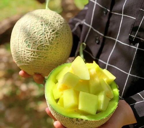 保定娱乐圈吃瓜系统,揭秘幕后风云,吃瓜群众狂欢盛宴 第3张 保定娱乐圈吃瓜系统,揭秘幕后风云,吃瓜群众狂欢盛宴 第3张