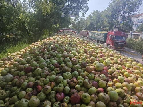 腐烂水果回收爆料视频,触目惊心的环保痛点 第2张 腐烂水果回收爆料视频,触目惊心的环保痛点 第2张