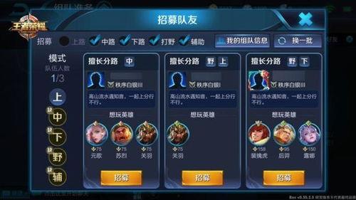 二舅王者爆料视频大全最新,揭秘游戏幕后真相与精彩瞬间  第2张