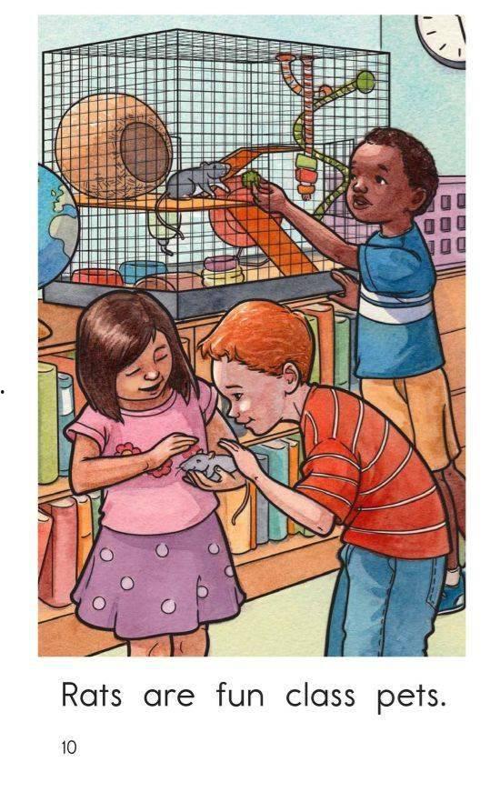 the pet在线观看,跟随the pet在线之旅 第2张 the pet在线观看,跟随the pet在线之旅 第2张